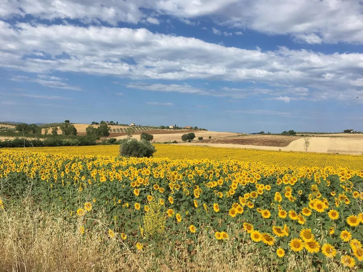 Guest house Civico 27 Rooms Magliano in Toscana
